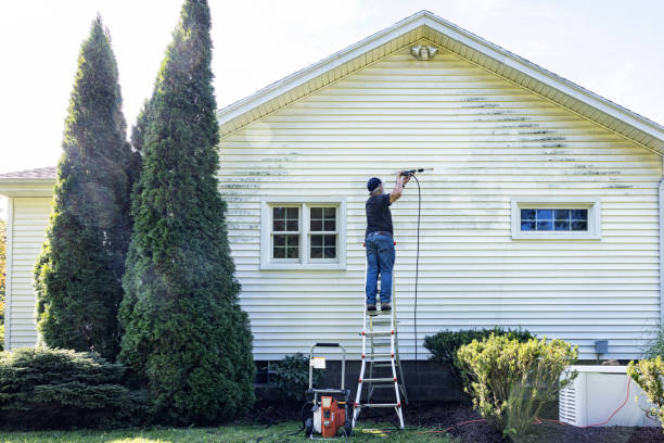 Local Pressure Washing Services in Madeira Beach, FL